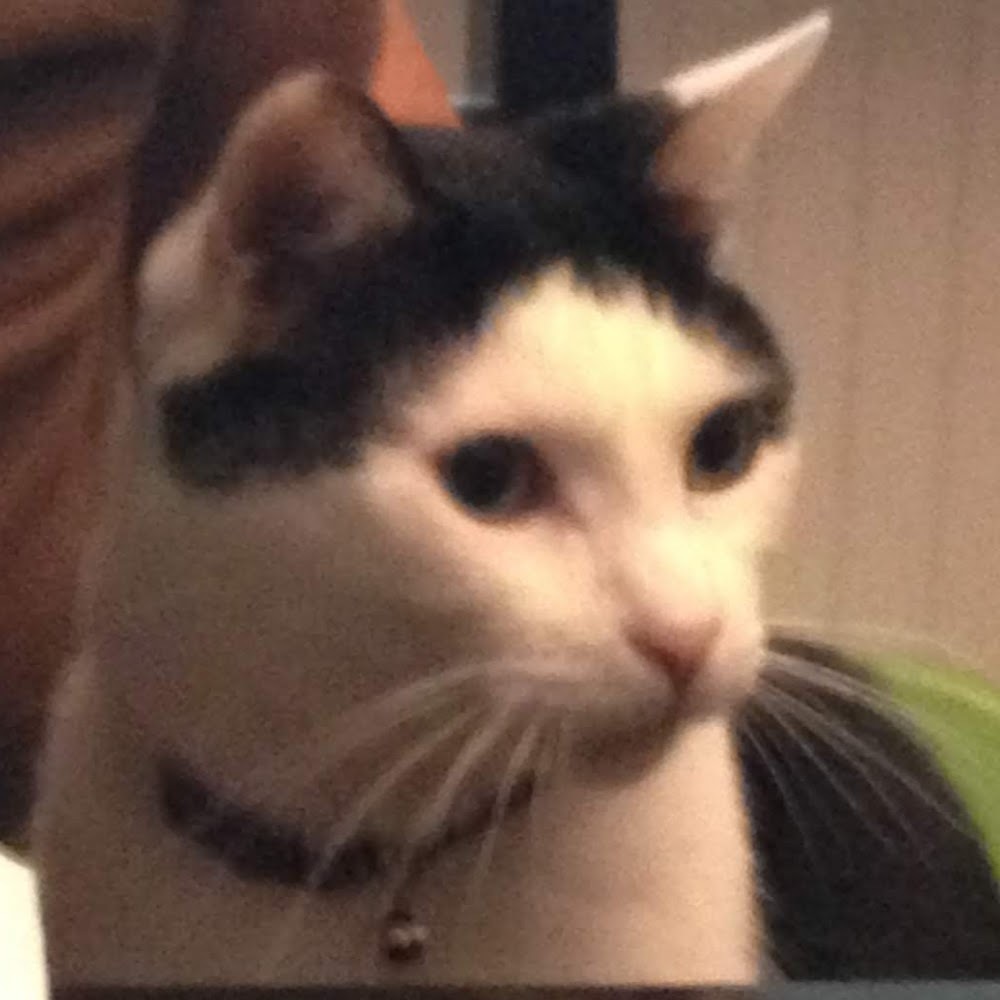 Meet your Posher, Iliana